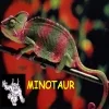 Sklep ogrodniczozoologiczny Minotaur w Zielonej Górze